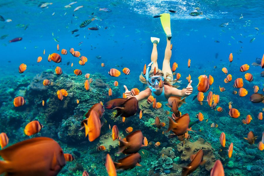 Snorkeling di Pulau Menjangan